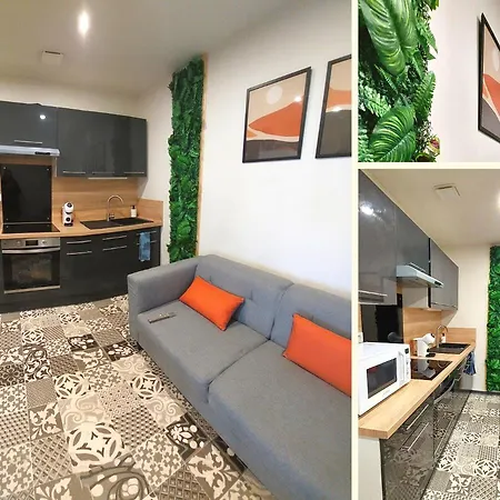 Apartmán Artgrey * Ideal Pro * Secteur Gare Et Rue Pietonnes *