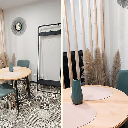 Artgrey * Ideal Pro * Secteur Gare Et Rue Pietonnes Apartmán Roanne